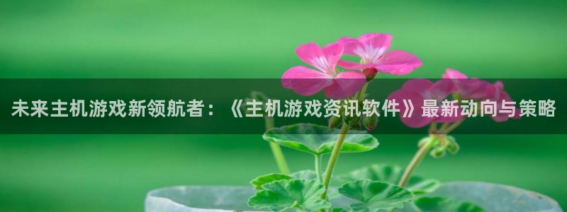 星欧娱乐在线登录：未来主机游戏新领航者：《主机游戏资讯软件》