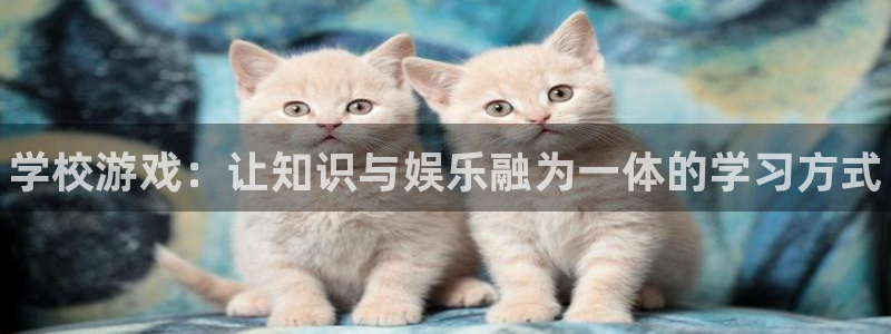 星欧娱乐Ii：学校游戏：让知识与娱乐融为一体的学习方式
