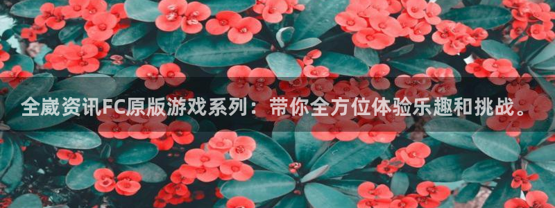 星欧娱乐升级5994月：全崴资讯FC原版游戏系列：带你全方位