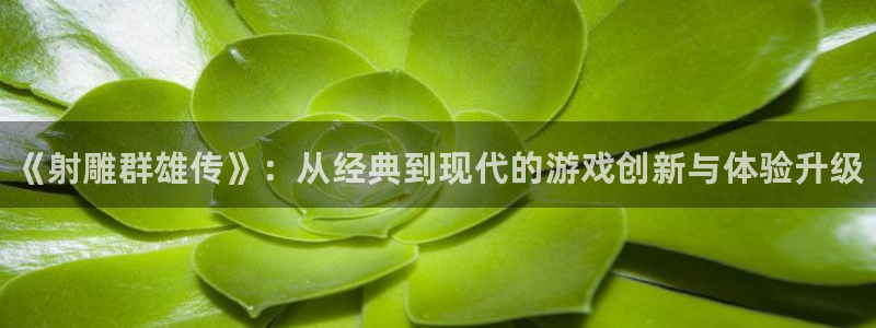 星欧娱乐直属：《射雕群雄传》：从经典到现代的游戏创新与体验升