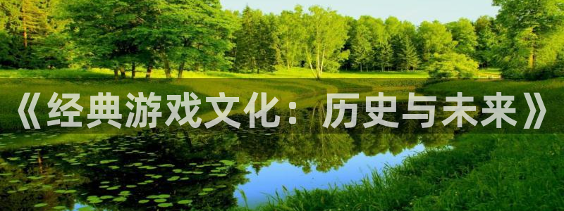 星欧娱乐代理登陆：《经典游戏文化：历史与未来》