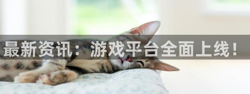星欧娱乐平台官方网站：最新资讯：游戏平台全面上线！