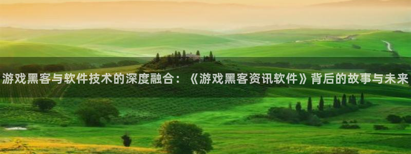 星欧娱乐注册登录平台：游戏黑客与软件技术的深度融合：《游戏黑
